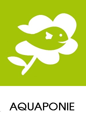 Aquaponie 